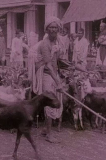 Movie poster for Picturesque India or, In and About Calcutta (1913)