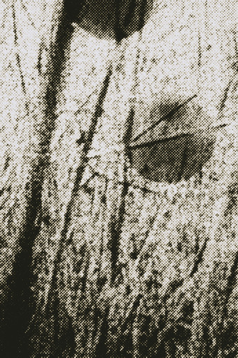 Movie poster for Across the Field (1992)