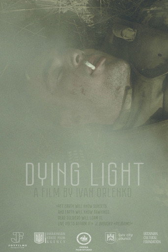 Movie poster for Dying Light (2022)