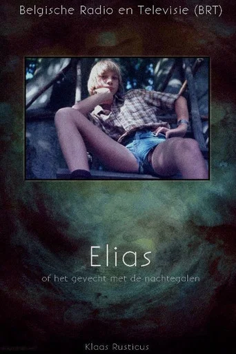 Movie poster for Elias or the Fight with the Nightingales (1991)