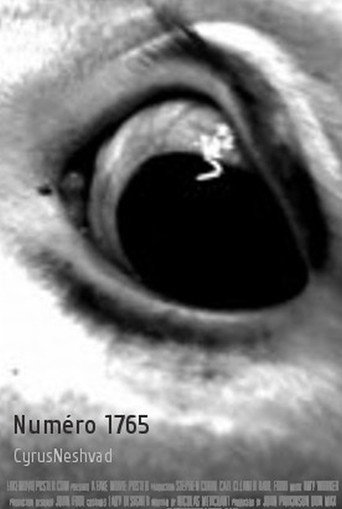 Movie poster for Numéro 1765 (2009)