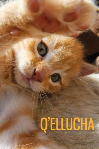 Movie poster for Q’ellucha (2017)