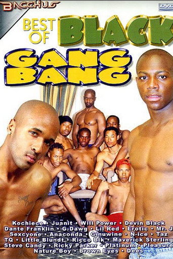 Movie poster for Best of Black Gang Bang (2007)