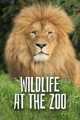Wild Life At The Zoo poster