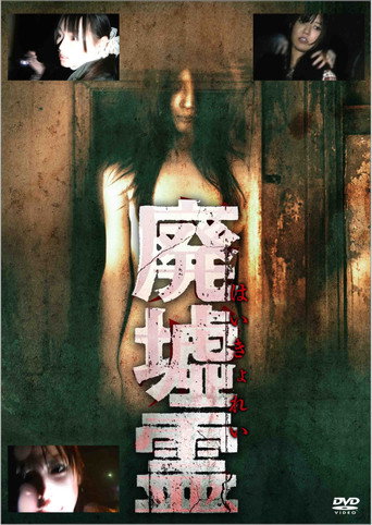 Movie poster for Ruins Spirit (2011)