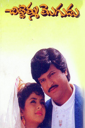 Movie poster for Chittemma Mogudu (1992)