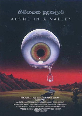 Movie poster for Alone in a Valley (2017)