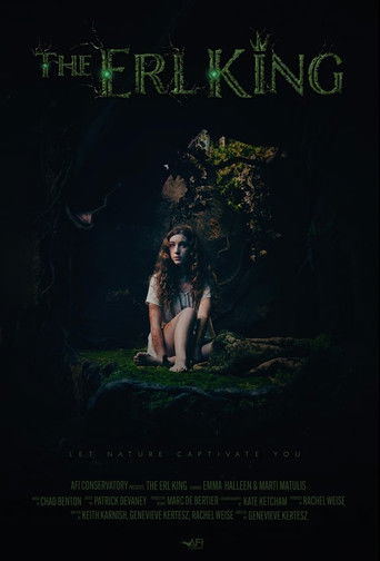 The Erl King poster
