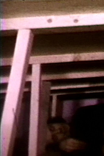 Movie poster for Seedbed (1972)