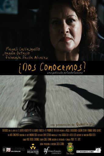 Movie poster for ¿Nos conocemos? (2014)