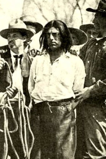 Movie poster for The Indian and the Child (1912)