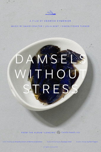 Damsels without stress poster