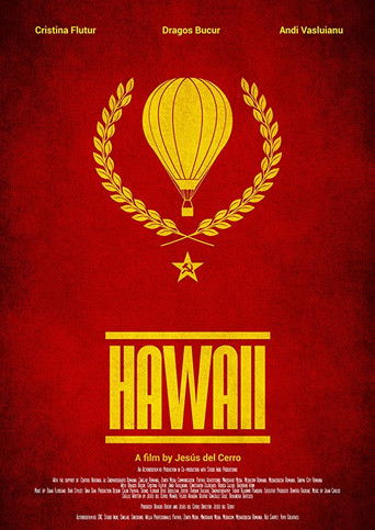 Hawaii poster