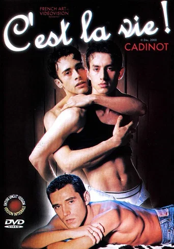 Movie poster for C'est la vie (2000)