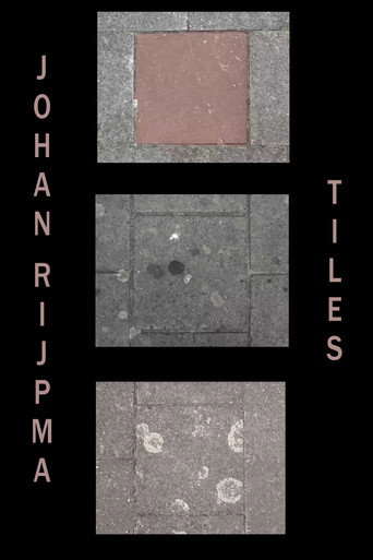 Movie poster for Tiles (2009)