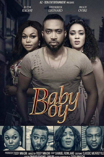Movie poster for Baby Boy (2017)