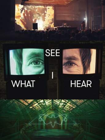 Movie poster for See What I Hear (2019)