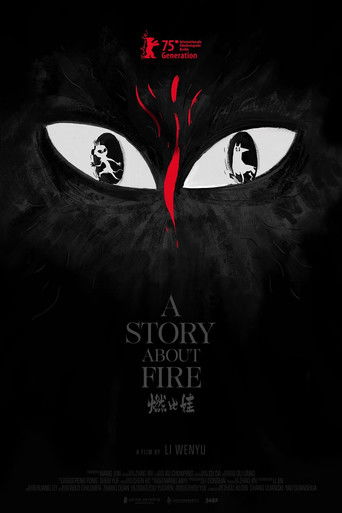 A Story About Fire poster