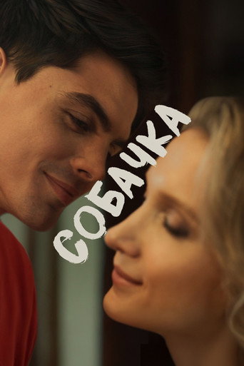 Собачка poster