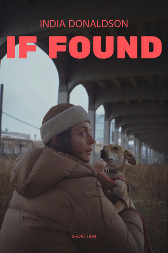 If Found poster