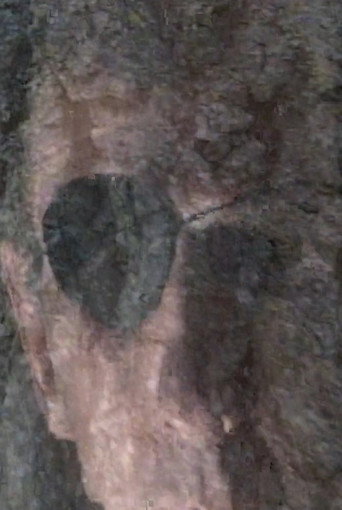 Movie poster for Ithaca (2000)
