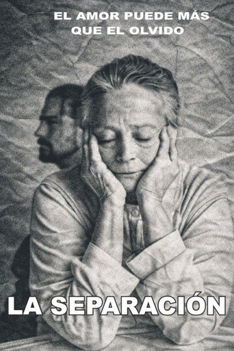 Movie poster for Separación