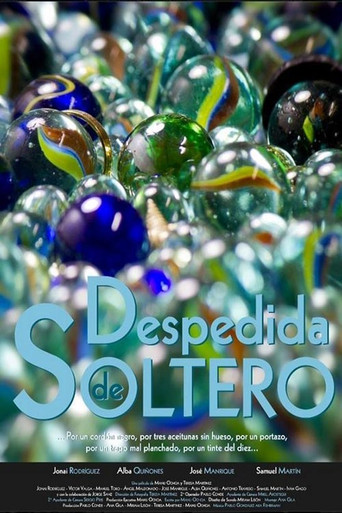 Movie poster for Despedida de Soltero (2013)