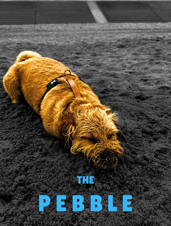 Movie poster for The Pebble (2022)
