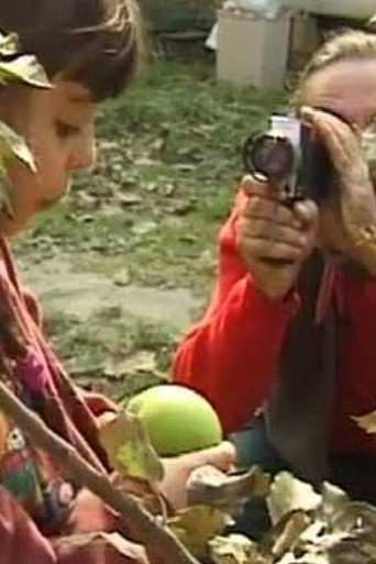 Movie poster for Bangla Borcha (1999)