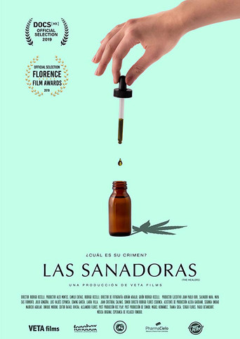 Movie poster for The Healers (2019)