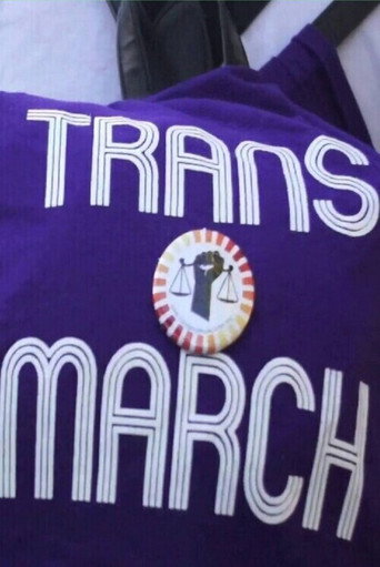 Movie poster for Trans*march (2013)