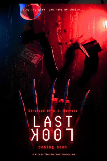 Movie poster for Last Look