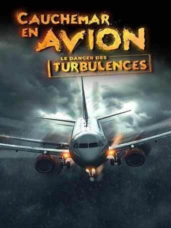 Movie poster for Cauchemar en Avion - Le Danger des Turbulences (2024)