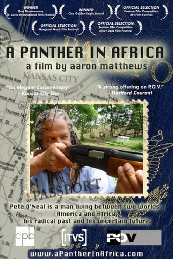 Movie poster for A Panther in Africa (2004)
