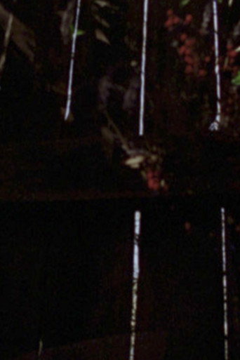 Movie poster for Garden Glimpses (2023)