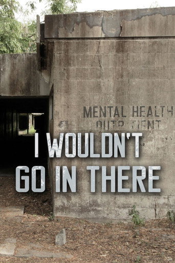 Series poster for I Wouldn’t Go In There (2013)