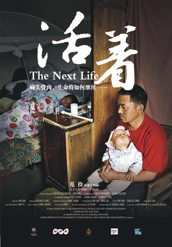 Movie poster for The Next Life (2012)