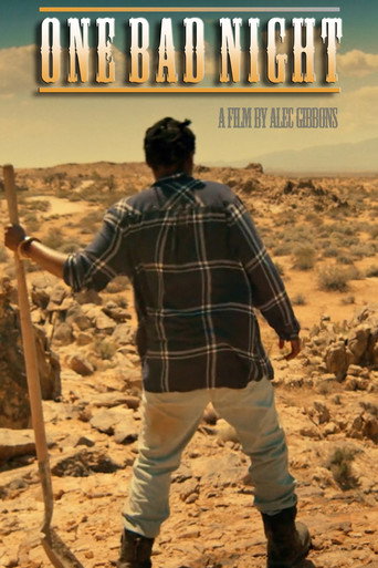 One Bad Night poster