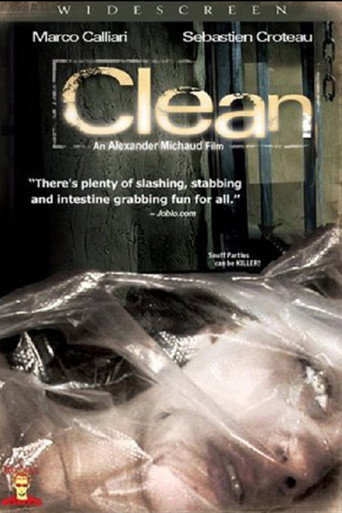 Movie poster for Clean (2006)
