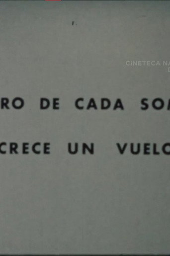 Movie poster for Dentro de Cada Sombra Crece un Vuelo