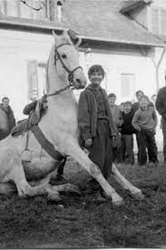 The Time of Horses poster