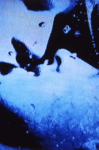 Movie poster for Self-Portrait in 23 Rounds: a Chapter in David Wojnarowicz’s Life, 1989–1991 (2019)