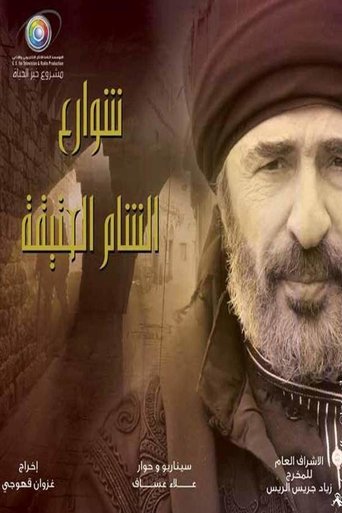 شوارع الشام العتيقة poster