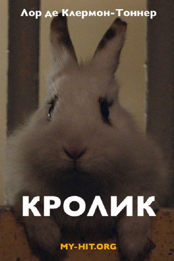 Movie poster for Rabbit (2014)