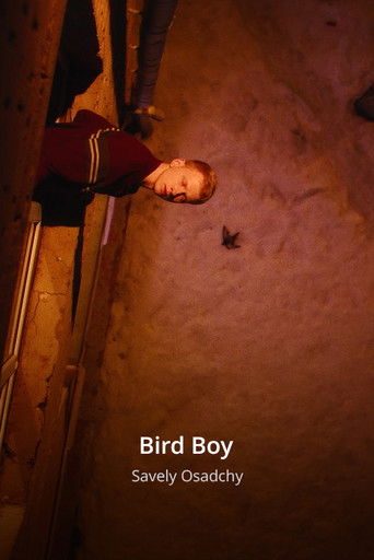 Bird Boy poster