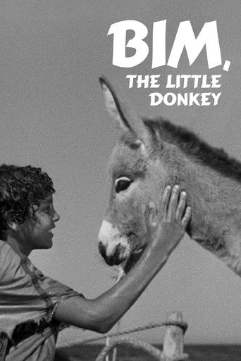 Movie poster for Bim, the Little Donkey (1951)