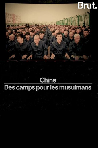 Movie poster for chine——des camps pour les musulmans (2019)