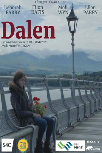 Dalen poster