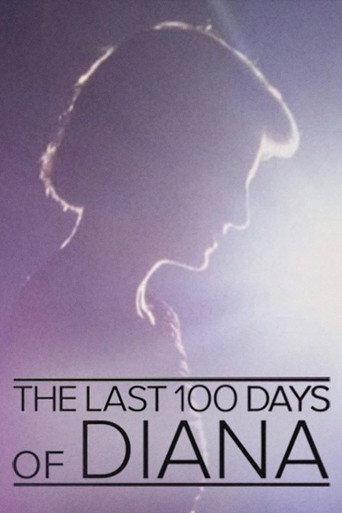 Movie poster for The Last 100 Days of Diana (2017)
