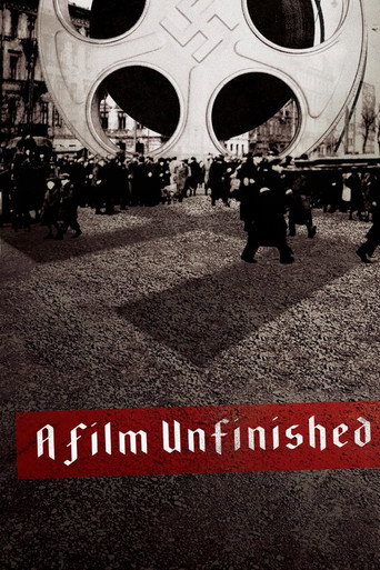 Movie poster for A Film Unfinished (2010)